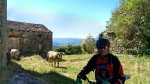 IMG-20130918-WA0025.jpg