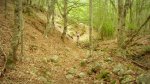 DSC03751.JPG