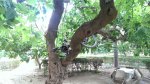 IMG-20130928-WA0003.jpg