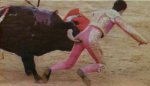 culo roto_800x460.jpg
