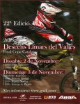 poster2dies2013 (1).jpg