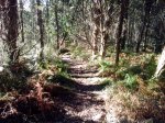 IMG_20131007_172850.jpg