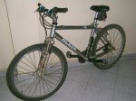 Foto 23.jpg