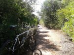 2013-10-05 11.37.57.jpg