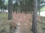 IMG-20131020-WA0000.jpg