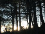 IMG_3439.JPG