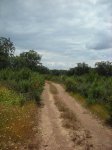 DSCN0877.jpg