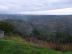 P1010248.jpg