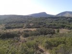 20131027_102143.jpg