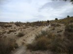 DSC00575.jpg