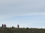 IMG_3619.JPG