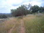CÃ¡ceres-Badajoz 26.05.07 095.jpg