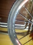 IMG_20131104_201129.jpg