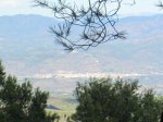IMG_3868.JPG