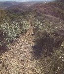 IMG_20131124_110342.jpg