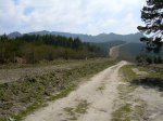 Imagen 027.jpg