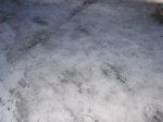 DSCF2042.jpg