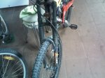 IMG00286-20111107-1413.jpg