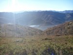 P1160259_800x600.jpg