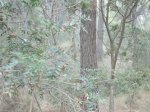 IMG_3983.JPG