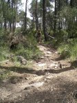 Fotos bike 019.JPG
