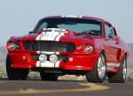 GT500ESuperSnake-4.jpg