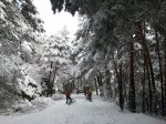 2014-01-18 09.53.51 (Copiar).jpg
