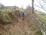 DSC00300 (Large).JPG