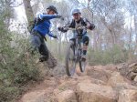 IMG_4768 (Copiar)[1].JPG