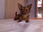 IMG_20130709_113330.jpg