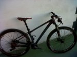 focus raven 029.jpg