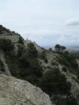 Tridente 042.jpg