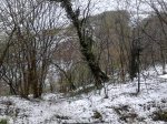 IMG_20140323_100204.jpg