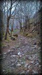 El Moral-Correpoco (9).jpg