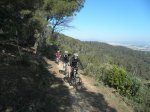 13-4-14  Serralada-Collserola (9).JPG