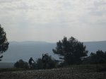 IMG_5155.JPG