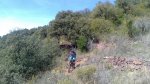 DSC_8157.jpg