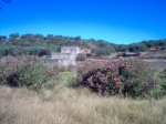 Zahinos-Cheles. 027.jpg