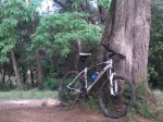 Trek 4500 b.jpg