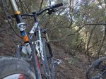 DSC05967.JPG