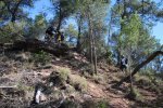 2014-05-04 068.JPG