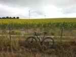 20140608_093021.jpg