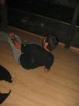 IMG_7419.JPG