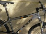 P6290051.copia.jpg