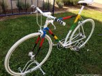 worlds14-rainbowbikebig.jpg