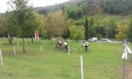 IMG-20141014-WA0002.jpg