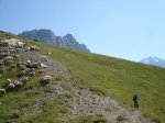 DSC06494.JPG