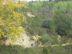 IMG_7533.JPG