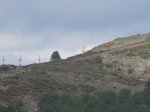Castañar del Tiemblo 2014 048(1).jpg