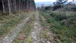20141101135032.jpg